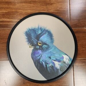 Quetzel on 8in Round Framed Wood Panel by The Mincing Mockingbird Matt Adrian